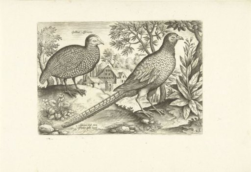 Two chickens in a landscape