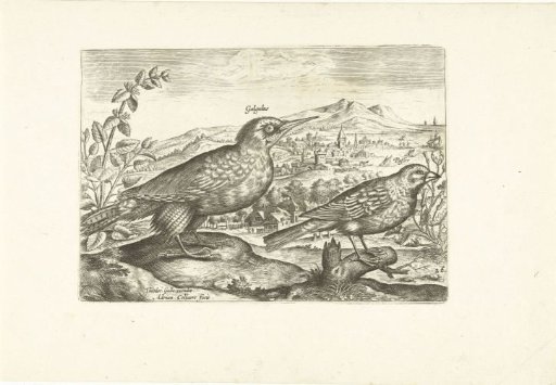 Two birds in a landscape