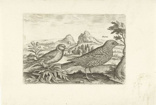 Two birds in a landscape