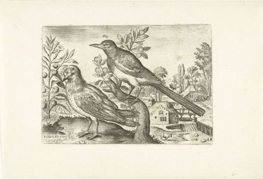 Two birds in a landscape