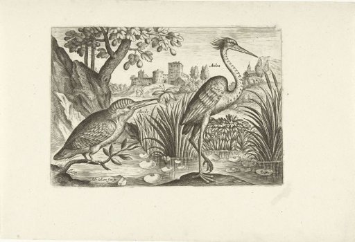 Two birds in a landscape