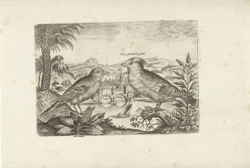 Two birds in a landscape