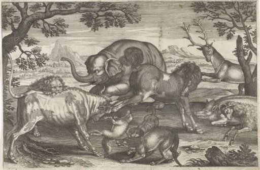 Fighting animals