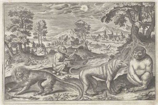 Apes