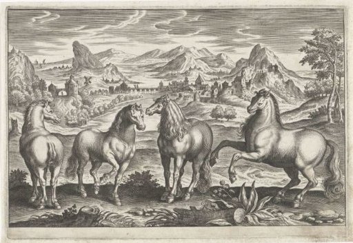 Horses