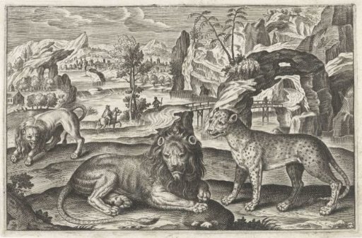 Lions and leopard
