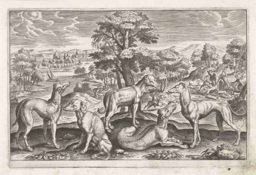 Hunting dogs