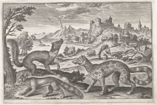 Martens, squirrels and a fox