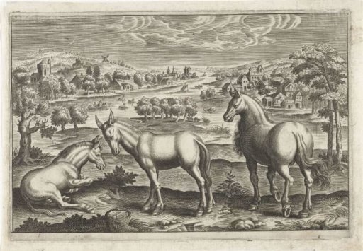 Horse and donkeys