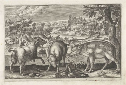 Goat and pigs