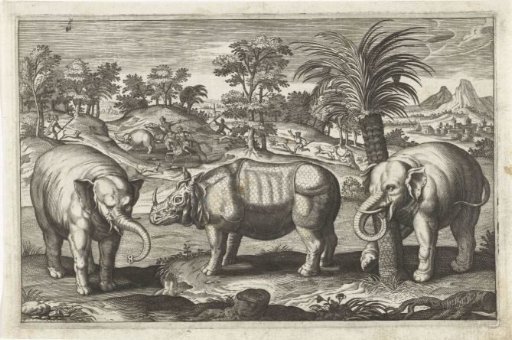 Elephants and rhinoceros