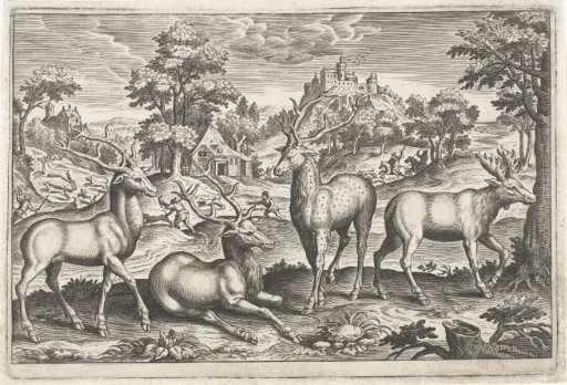 Deer
