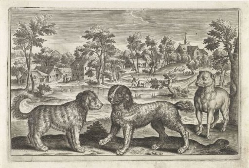 Dogs