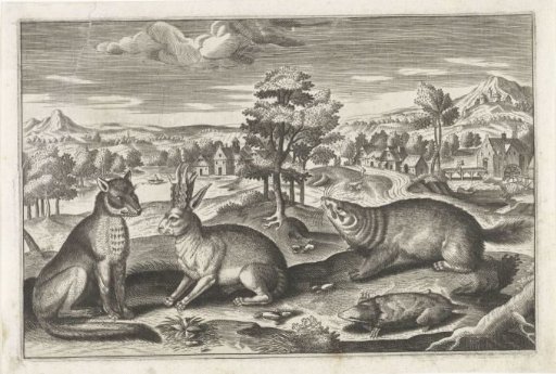 Forest animals