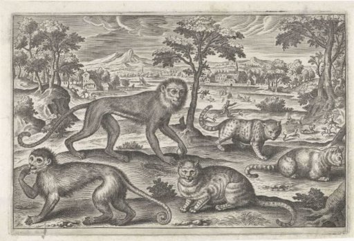 Apes and cats