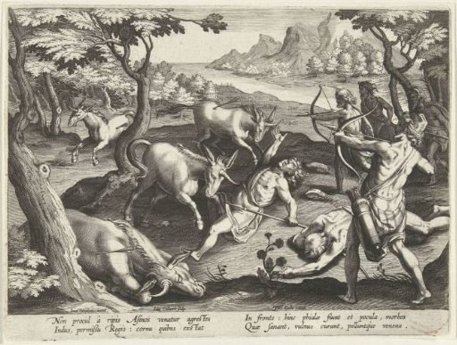 Hunting of unicorns