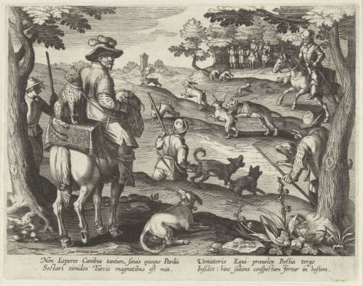 Hare hunting with leopards