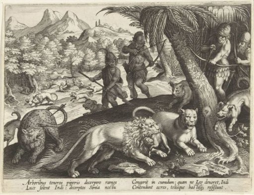 Hunting of lions and leopards with bow and arrow