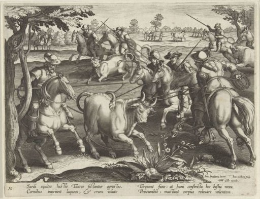 Hunting of bulls