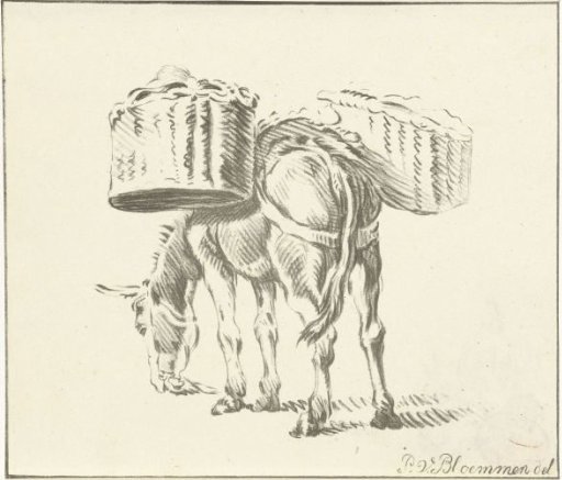 Loaded donkey