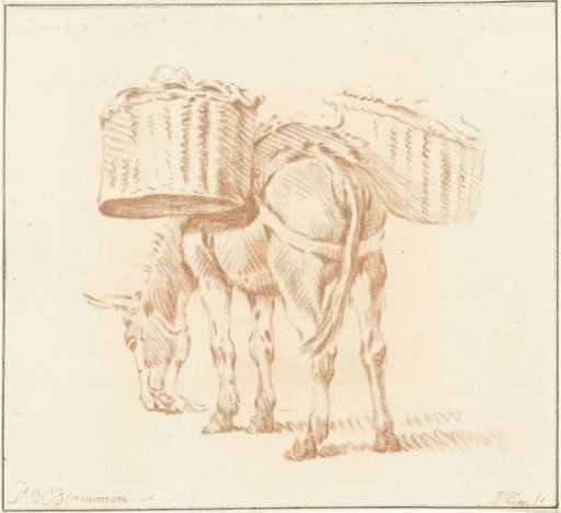 Loaded donkey
