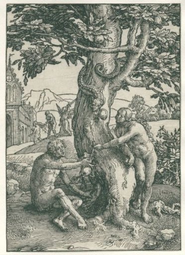 The Fall of Man