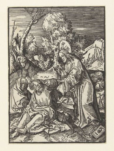 Christ Wakes the Sleeping Disciples