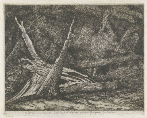 Storm of 26 September 1853 at Huize Endegeest near Leiden