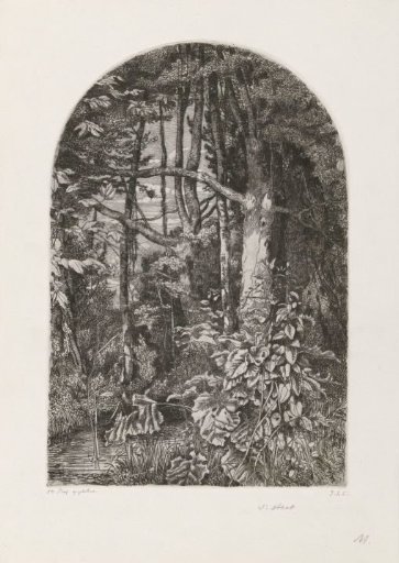 Wood with brook
