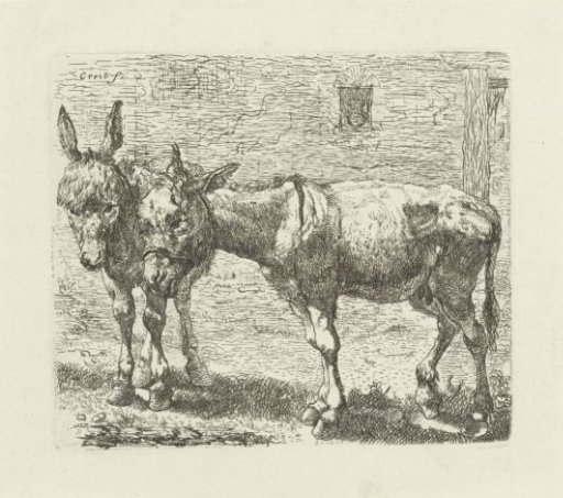 Two donkeys