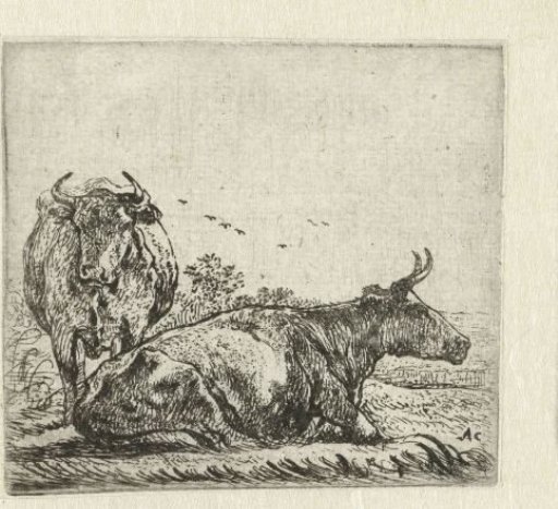 Two Cows