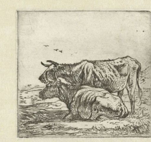 Two Cows