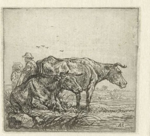 Two Cows and Shepherds