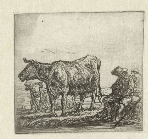 Two Cows and Shepherds