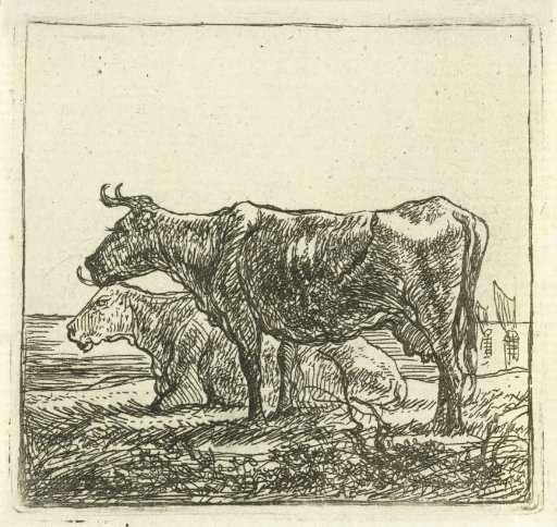Two cows on river bank