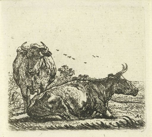 Two cows