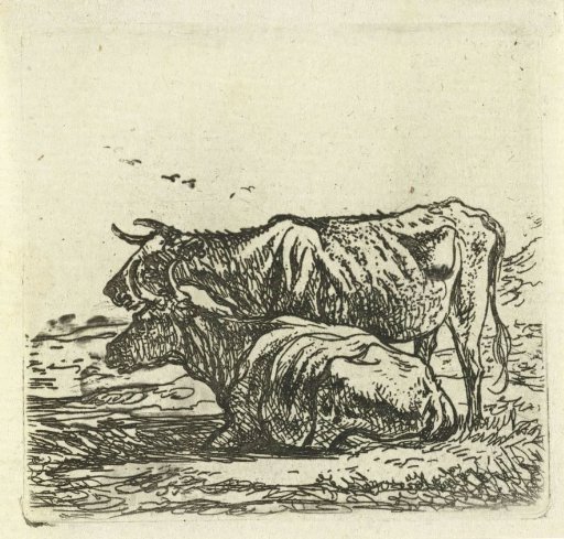 Two Cows