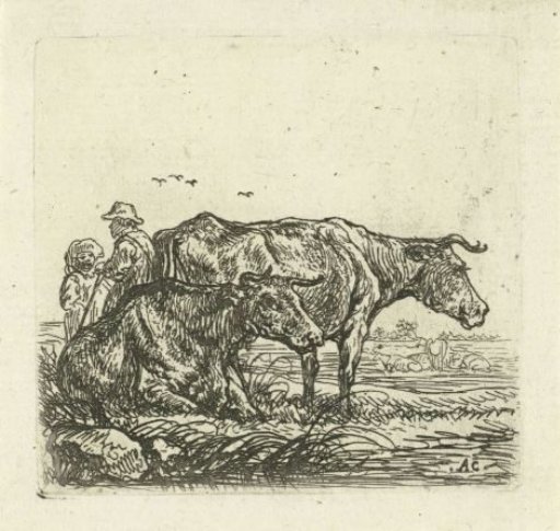 Two Cows and Shepherds