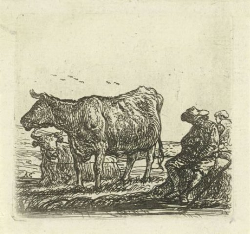 Two Cows and Shepherds