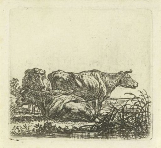 Three Cows