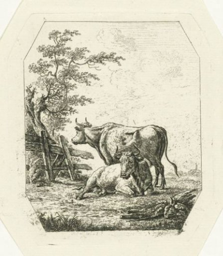 Two cows by a fence