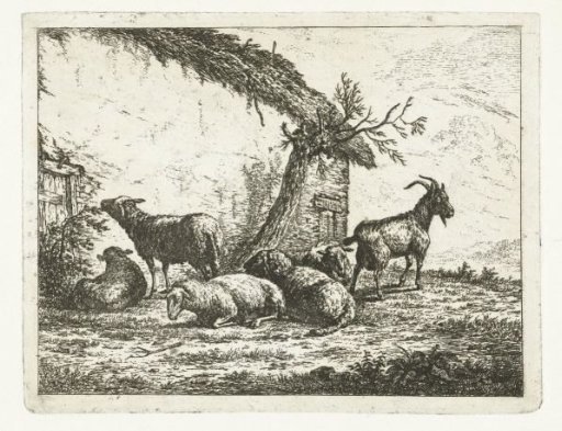 Goat and sheep near dilapidated farm shed