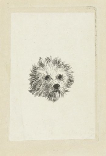 Head of a Dog