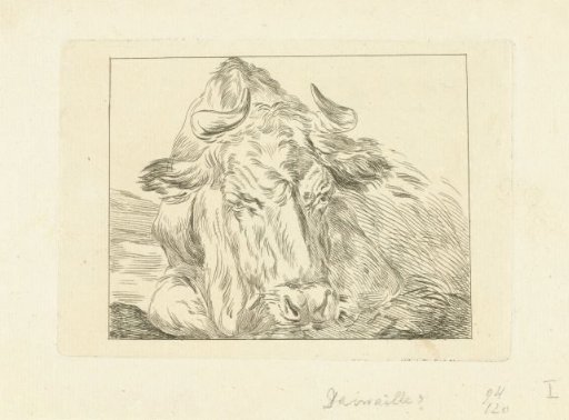 Reclining cow