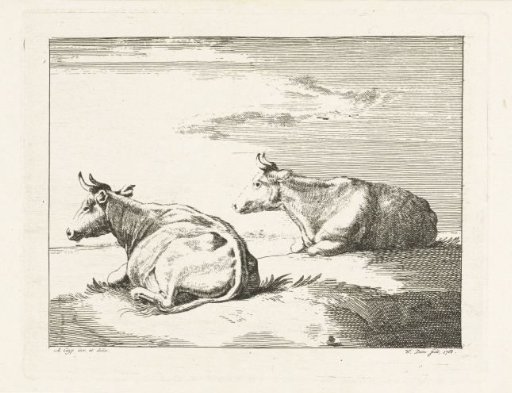 Two lying cows