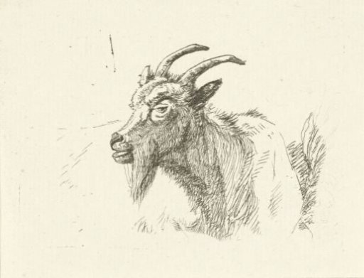 Reclining goat