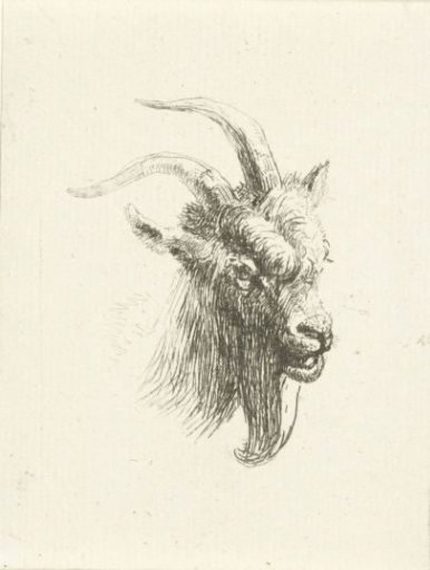 Head of a goat