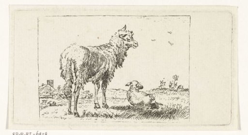 Ewe with lamb