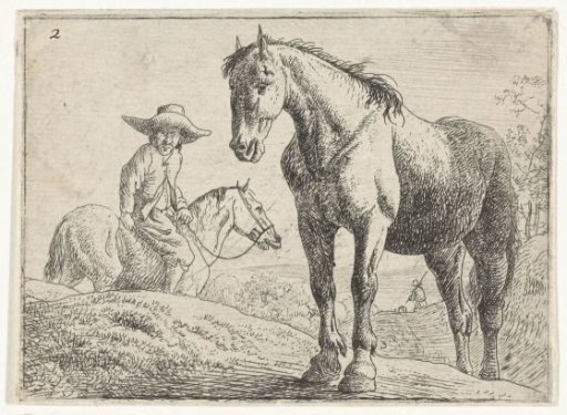 Two horses, one with a rider