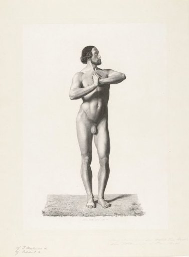 Standing male nude